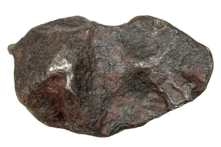 Canyon Diablo Iron Meteorite ( g) - Arizona #246913